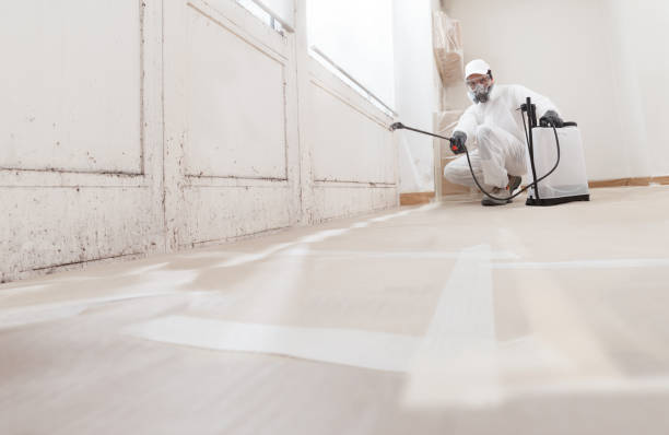 24/7 Emergency Basement Mold Removal experts in Phoenix, OR